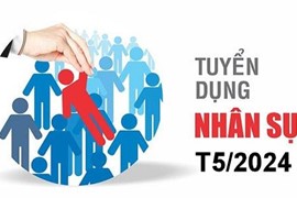 Tuyển dụng tháng 05/2024